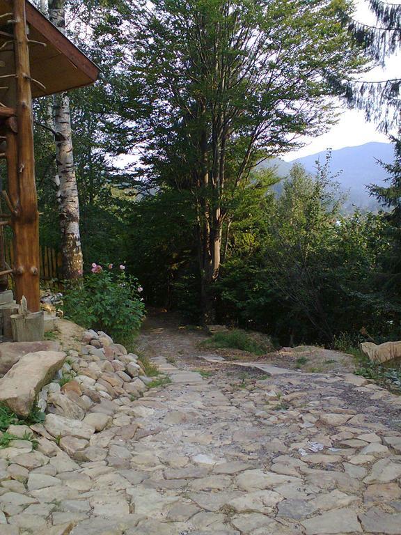 Hotel Krutogora Tatariv Esterno foto