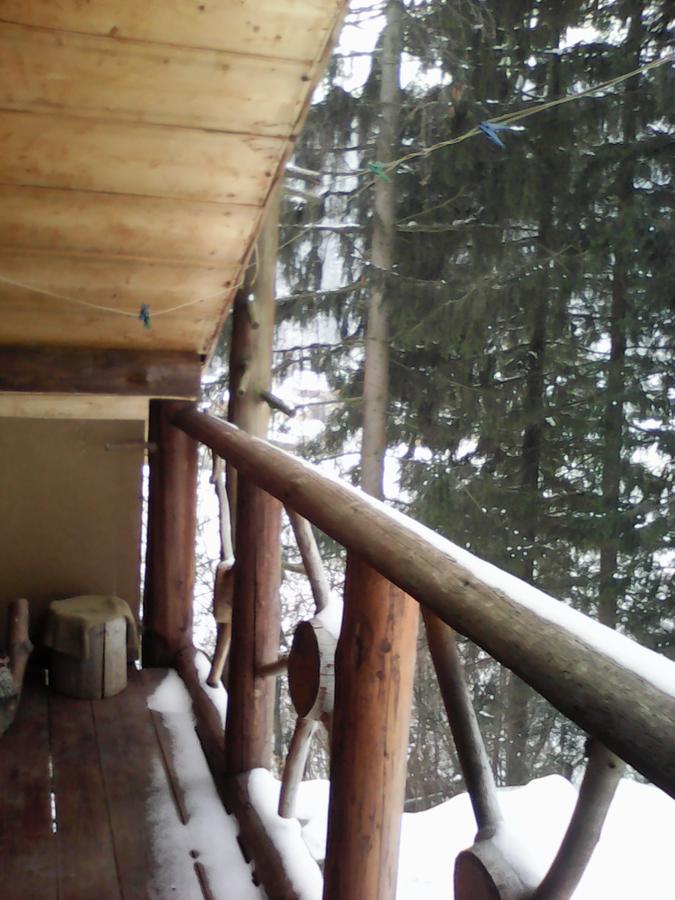 Hotel Krutogora Tatariv Esterno foto